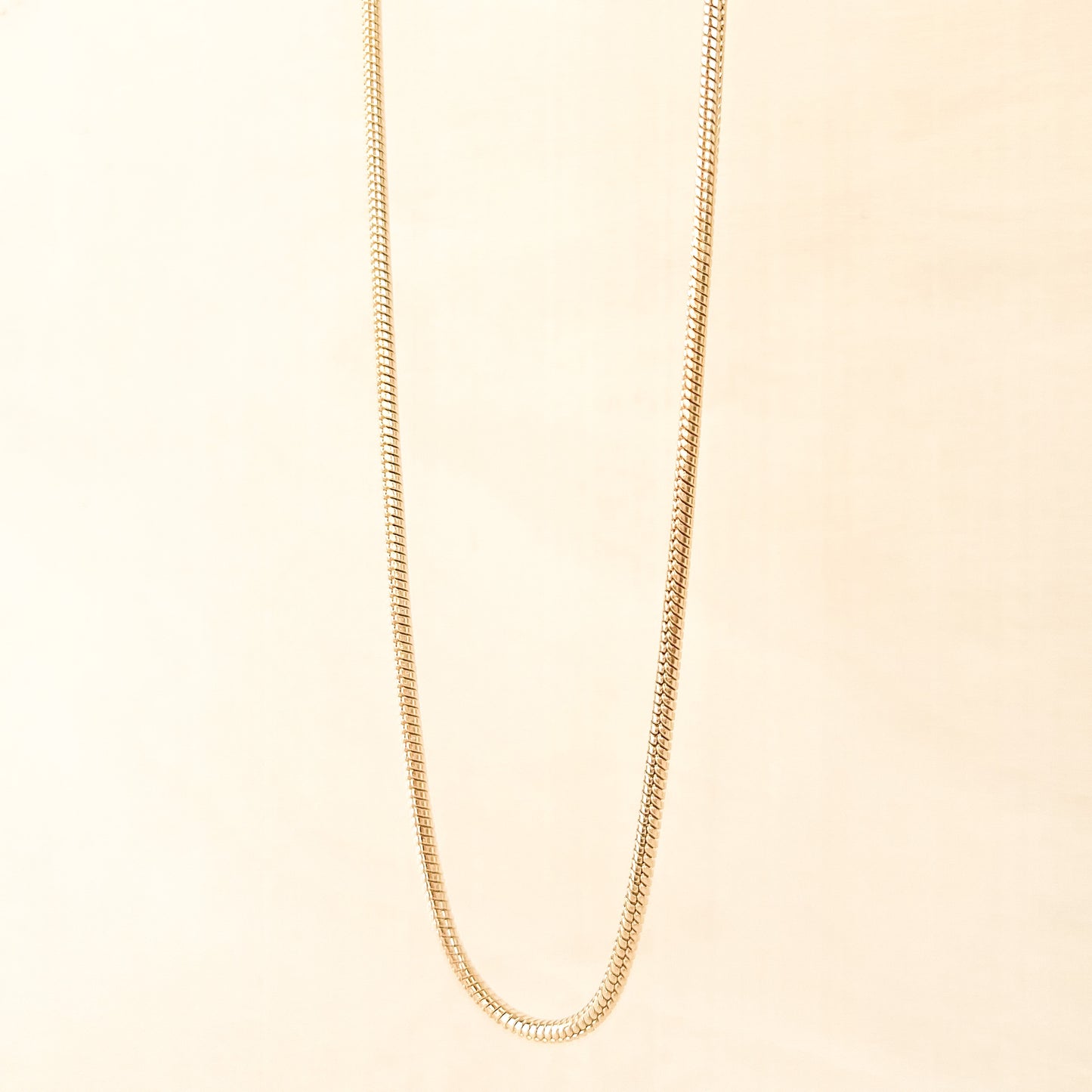 Snake Chain